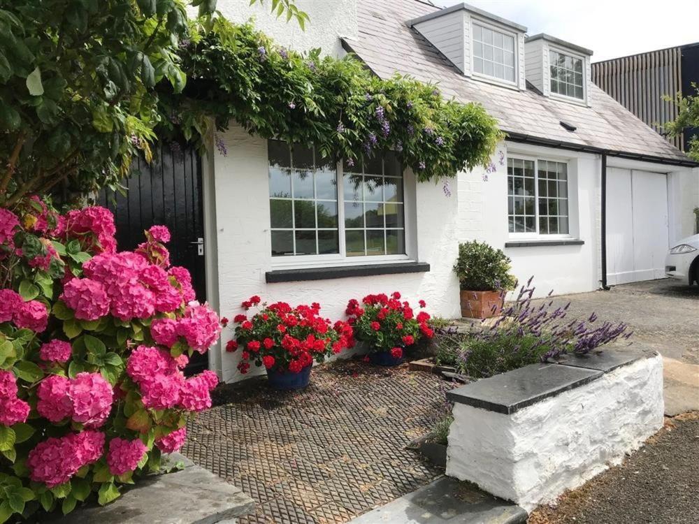 Beach Retreat Aberporth Buitenkant foto